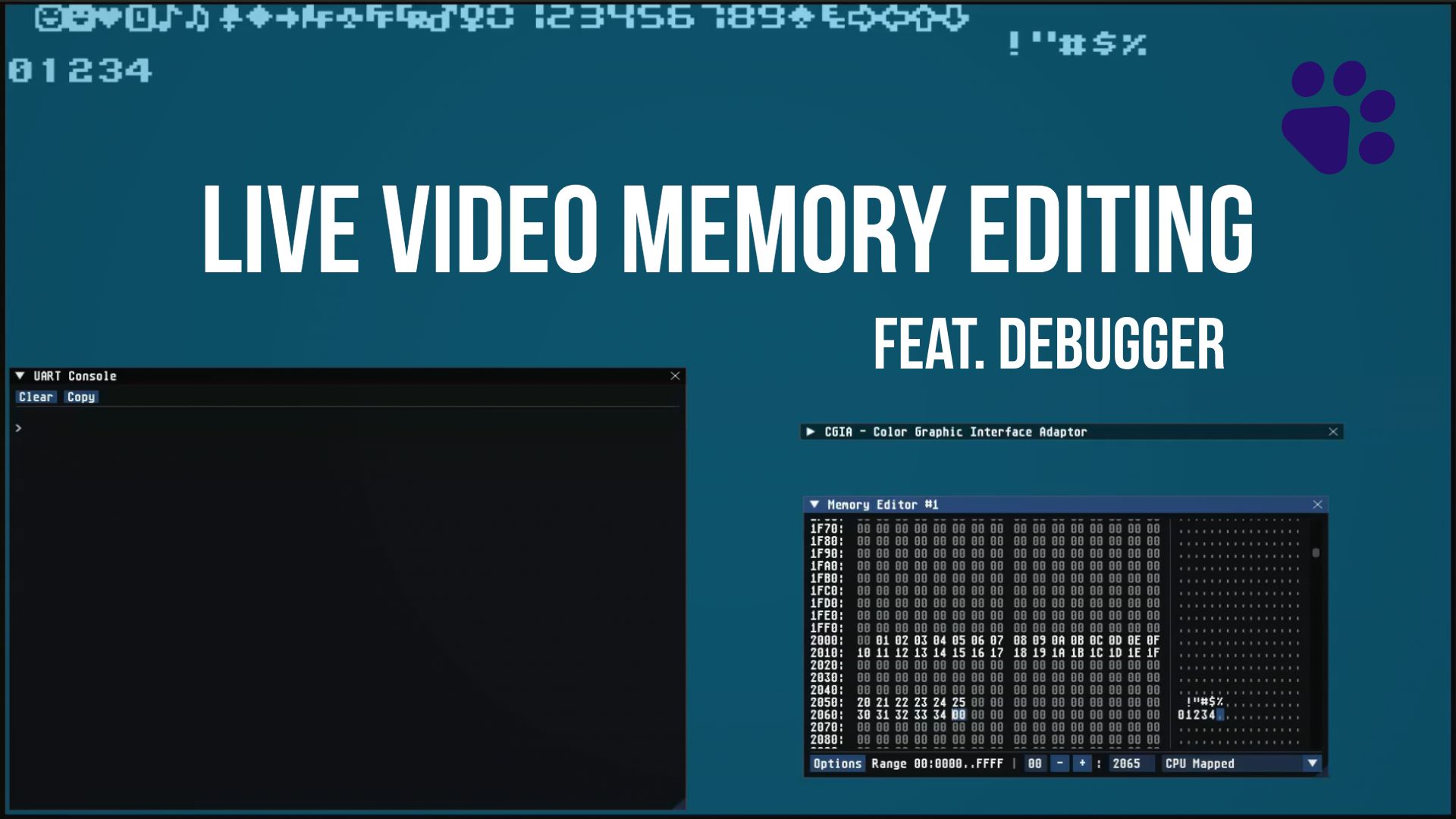 Direct video memory editing using debugger